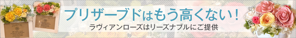 プリザーブドはもう高くない！ラヴィアンローズはリーズナブルにご提供