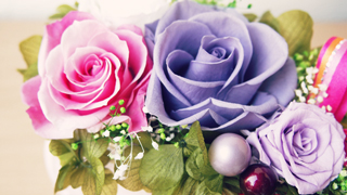 ワークショップ